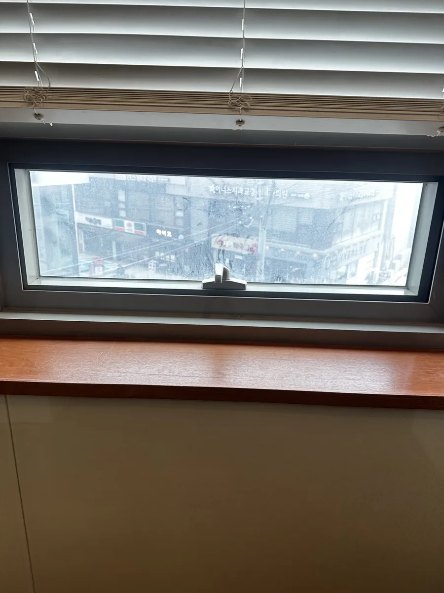 프로젝트창 방충망 교체 작업